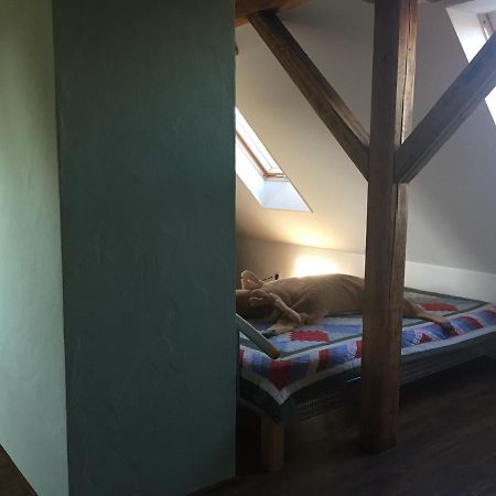 Ferienwohnung Schulze Freital Eksteriør billede
